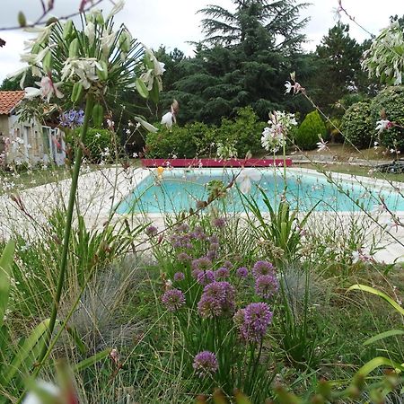 Château Lacroix de Civrac 4 étoiles, 3 ch, 7 pers Esterno foto